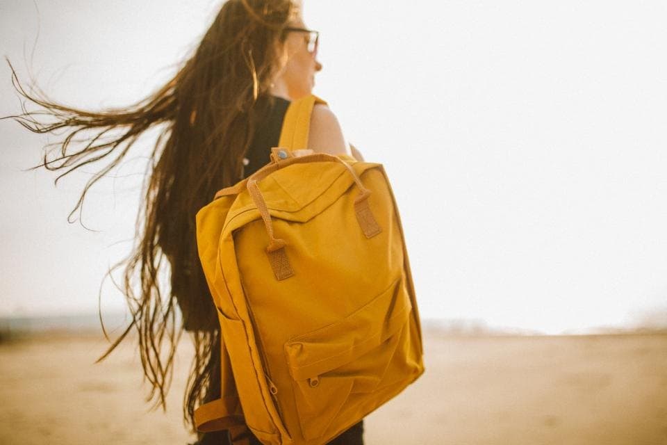 Daily Transit Backpack